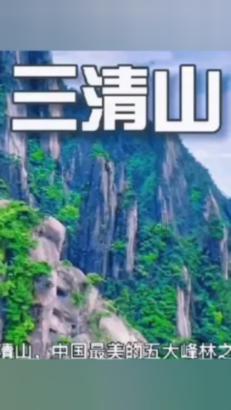 他以裁缝身份为掩护，拉姐弟入伍，姐姐壮烈牺牲，弟弟成为将军