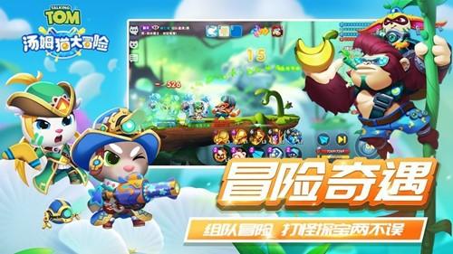 《五香宫的猫》入围柏林电影节 想田和弘执导